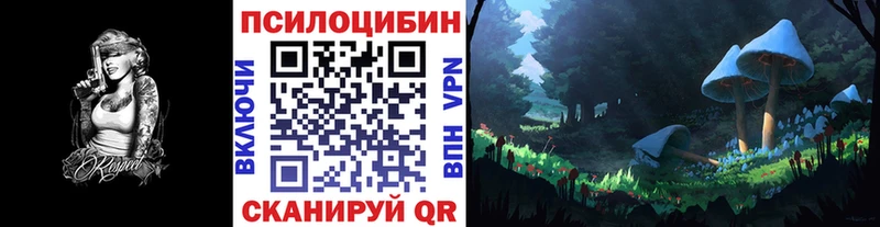 Псилоцибиновые грибы Cubensis  Нариманов 